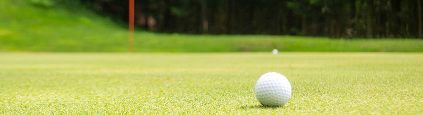 SiGN_2018-07-30-1134